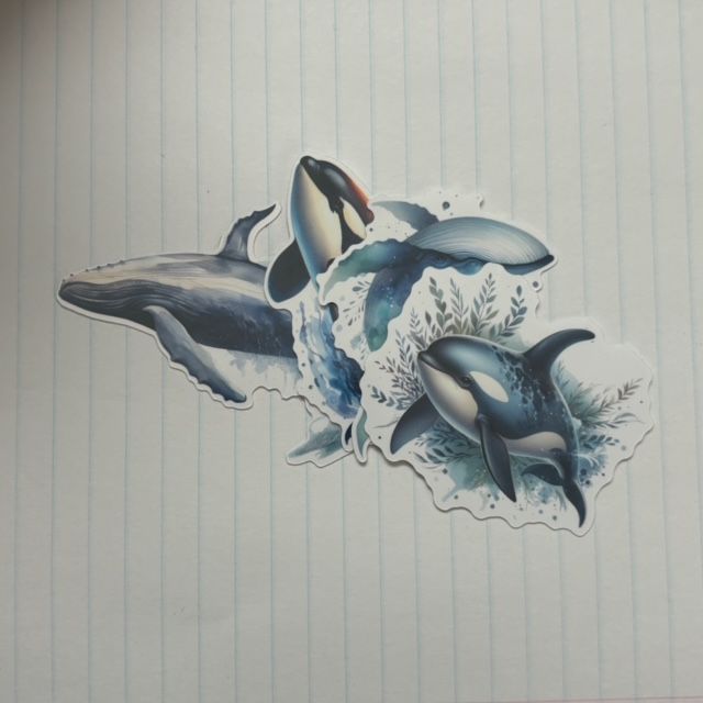 Whale Stickers (4 pk)