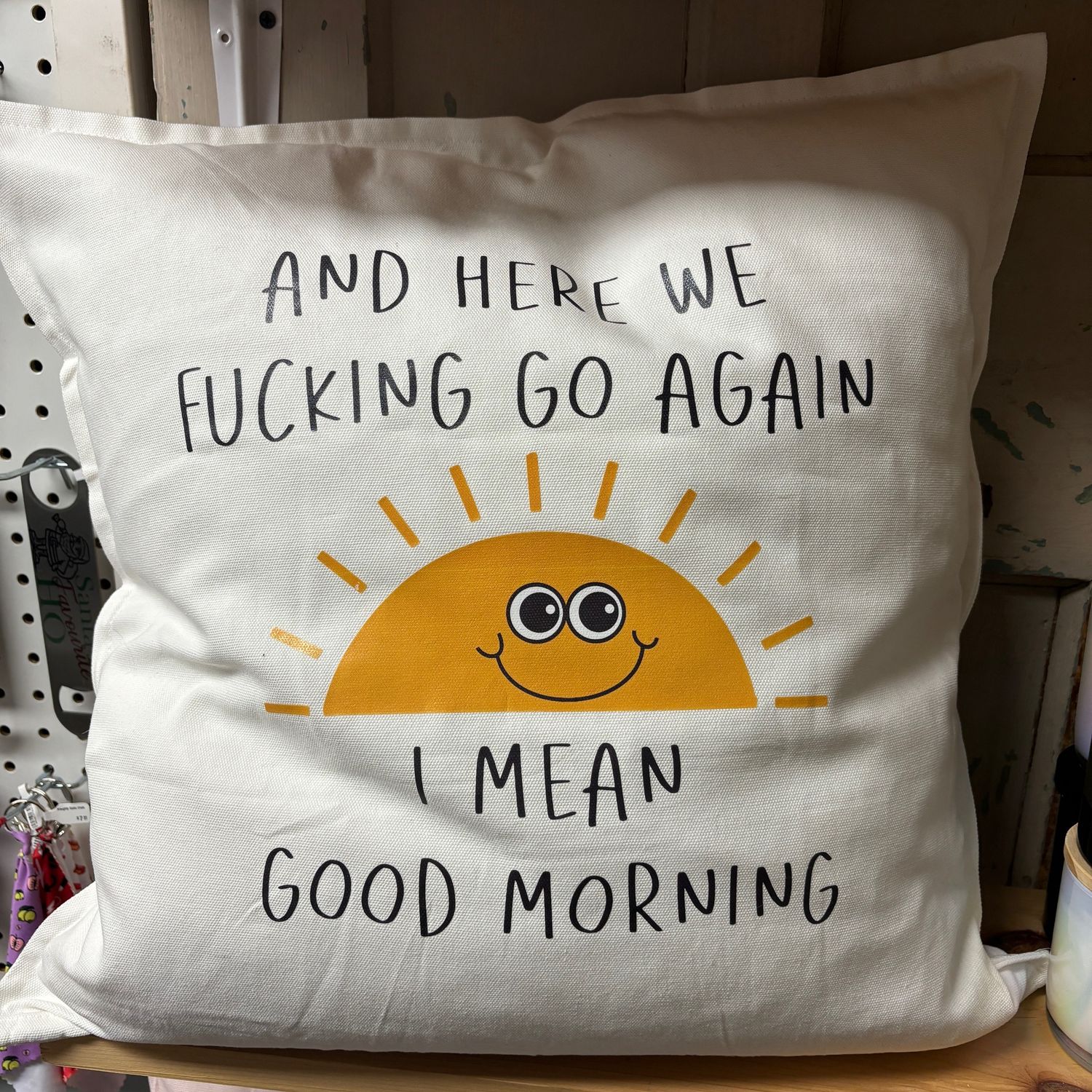 And Here We Fucking Go Again  Pillow