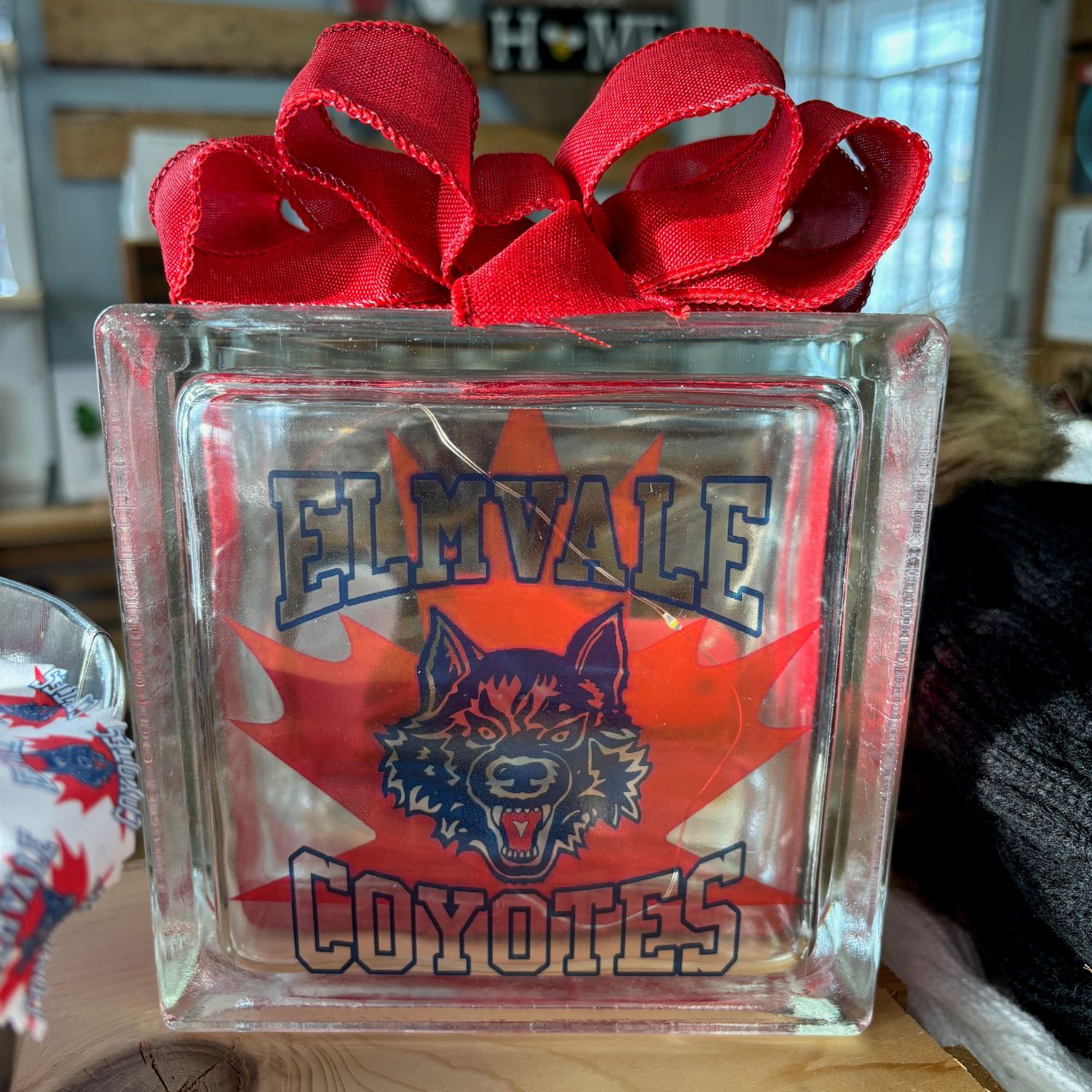 Coyotes Glass Block