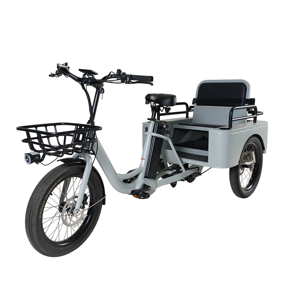Conductor Plus Rickshaw