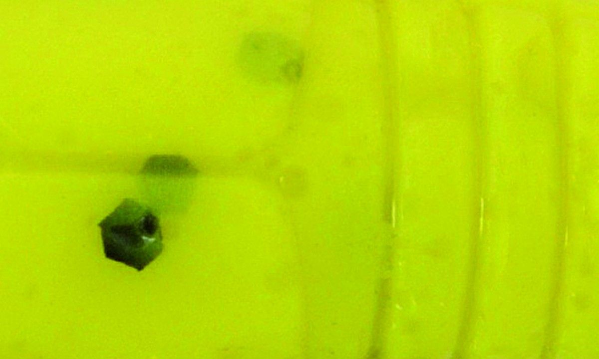 Baby Cray  ULG, Color: Chartreuse 1,6inch  *187-21-146