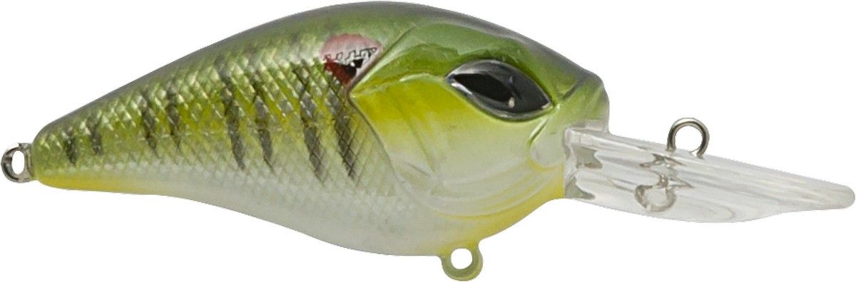 Sniper 50 MR, Color: GSF / Green Sunfish * 180-42-555
