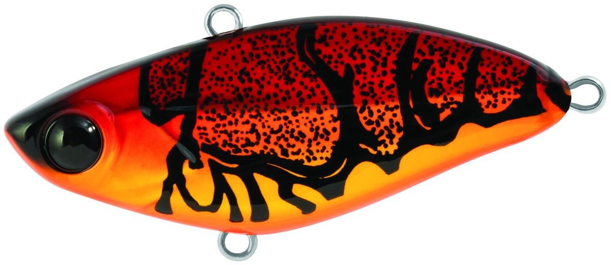Xvibe 180-22-501, Color: FT / 180-22-508