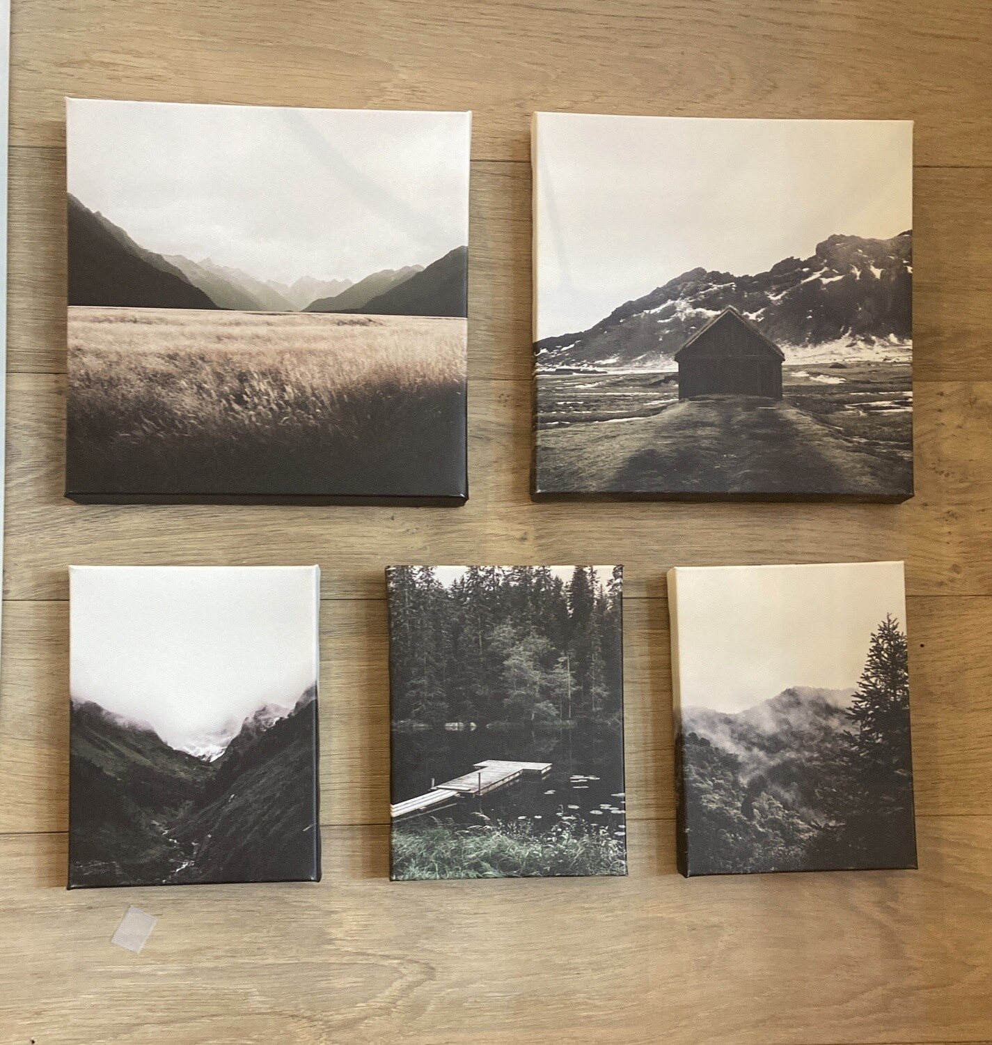 Woodland Canvas Set