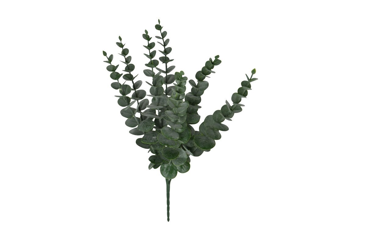 Eucalyptus Bunch/Sm