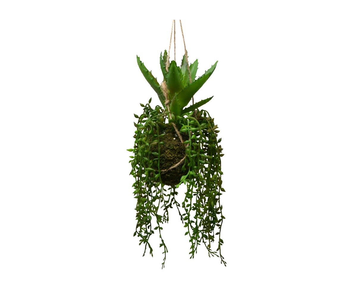 Vinea Moss Ball