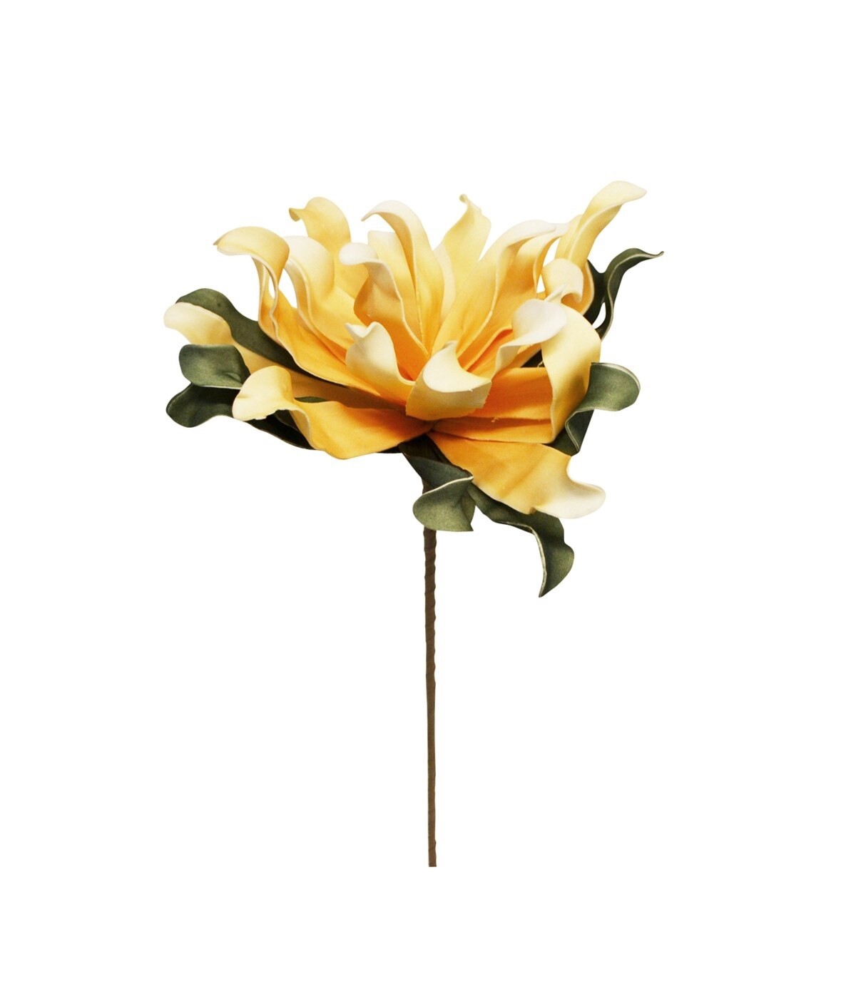 Yellow Dahlia