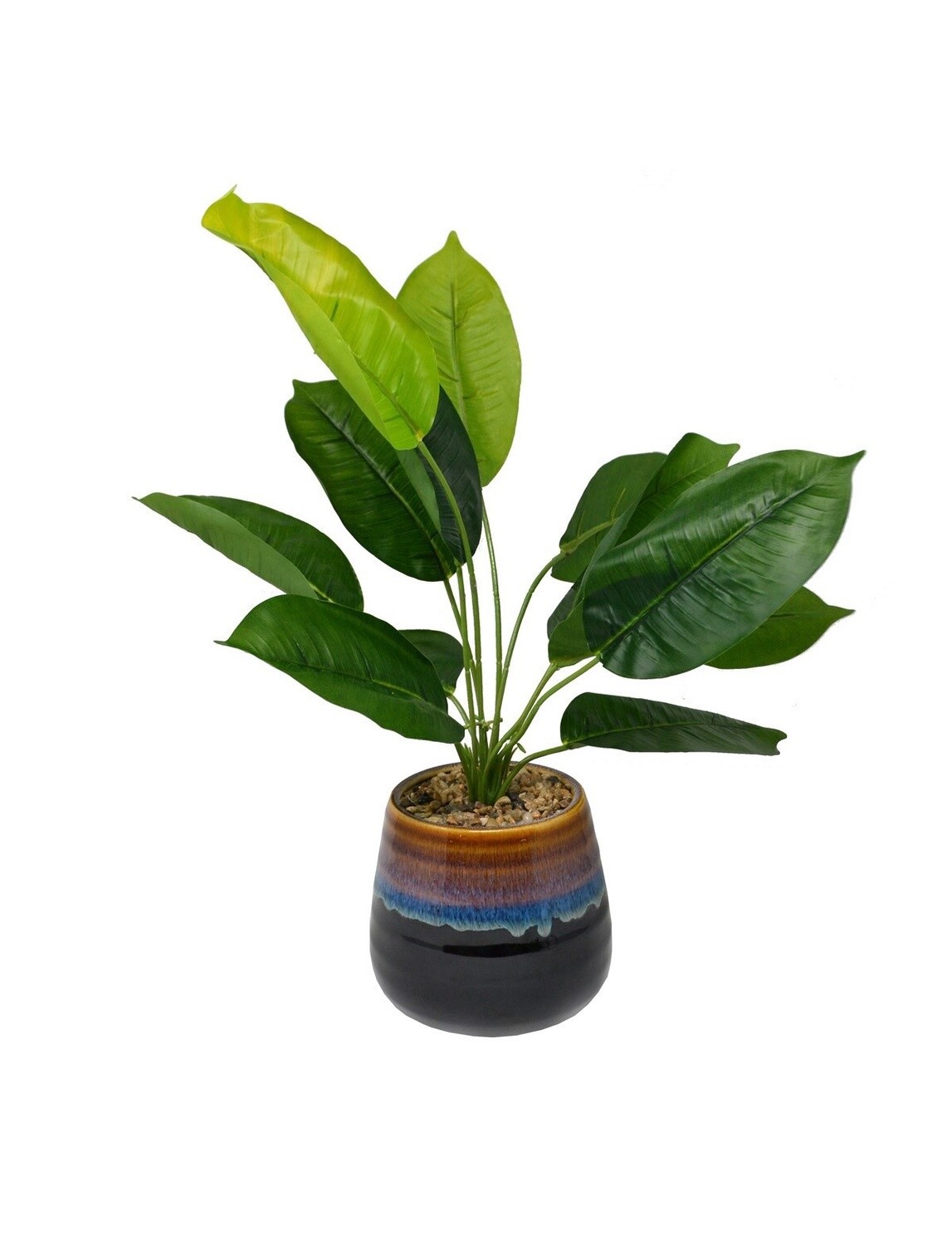 Tall Green Plant