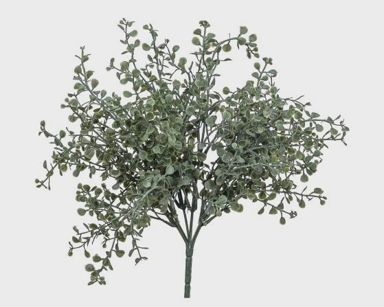 Grass Bush