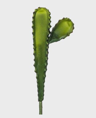 Cactus w/2 Heads