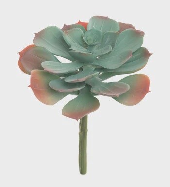 Frosted Green and Orange Echeveria Pick