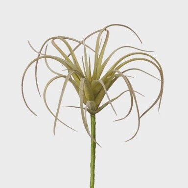 Green Airplant