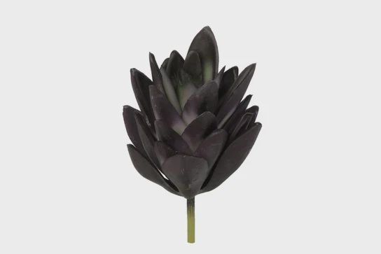 Mini Succulent Pick/Purple