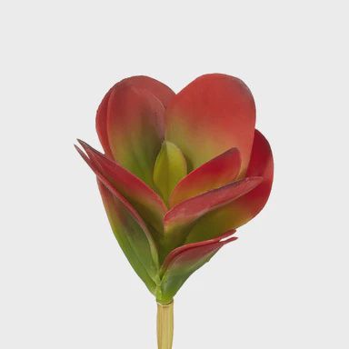 Jade Pick / Red