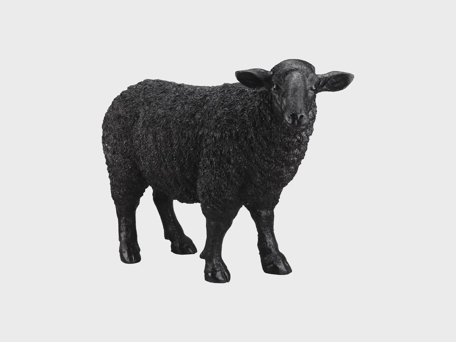 Baa Baa Black Sheep