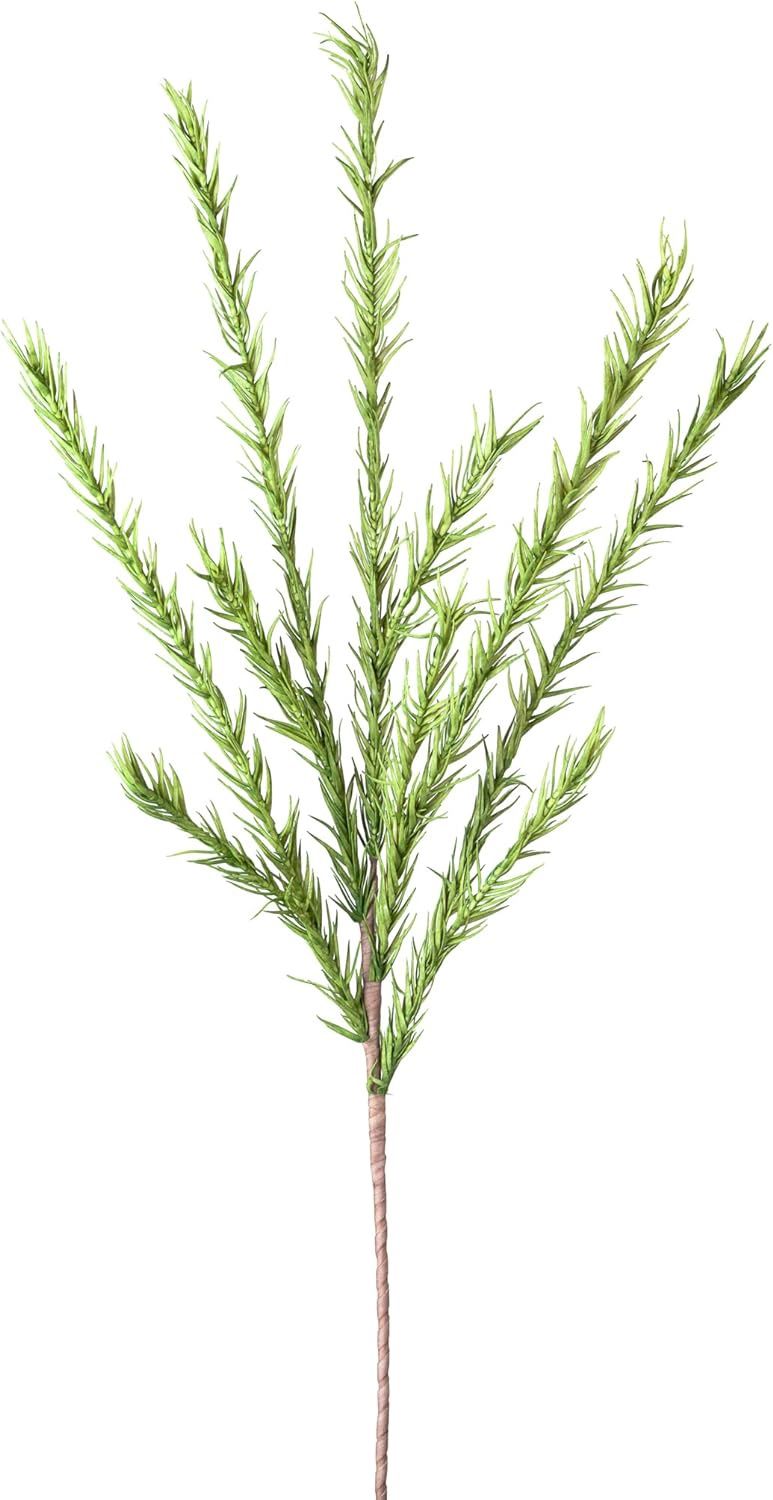 Desert Pine Stem - Green
