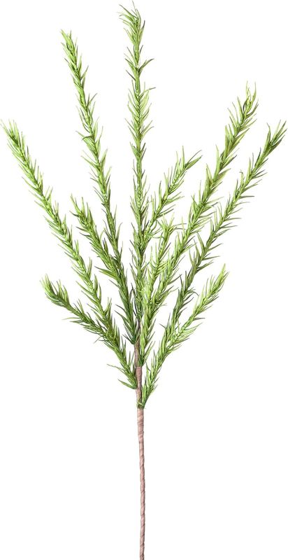 Desert Pine Stem - Green