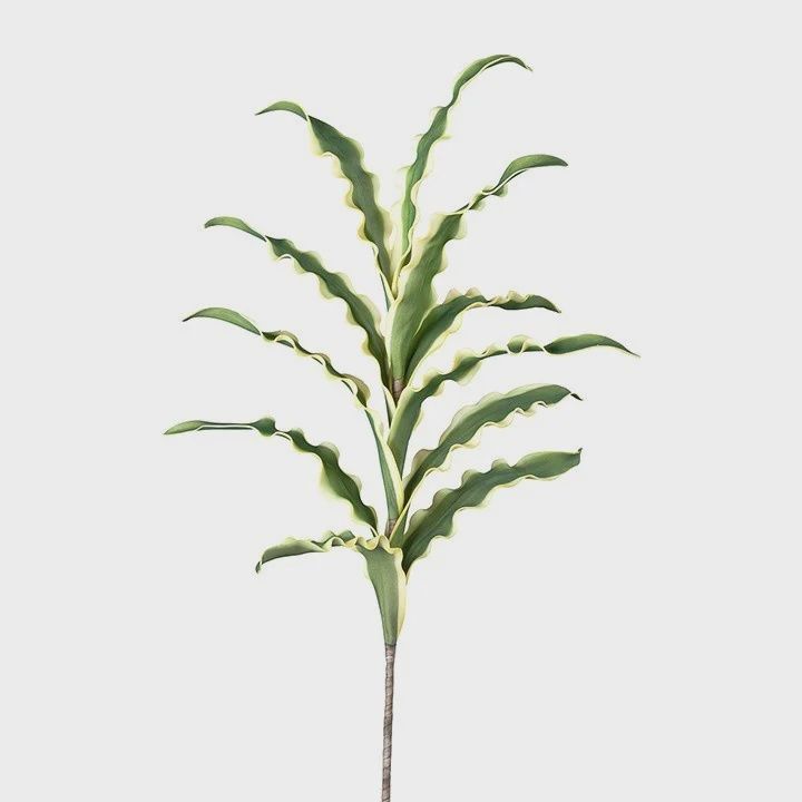 Desert Sword Multi Leaf Stem
