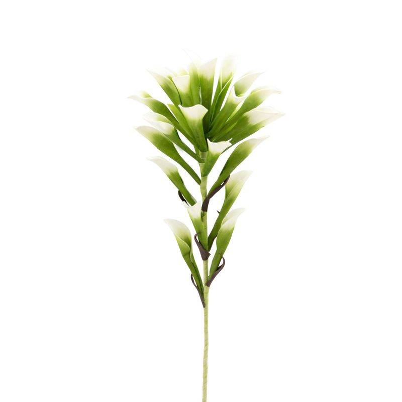 Desert Lily Stem