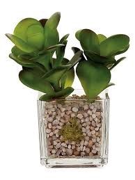 Glass Potted Faux Echeveria, Series: Jade