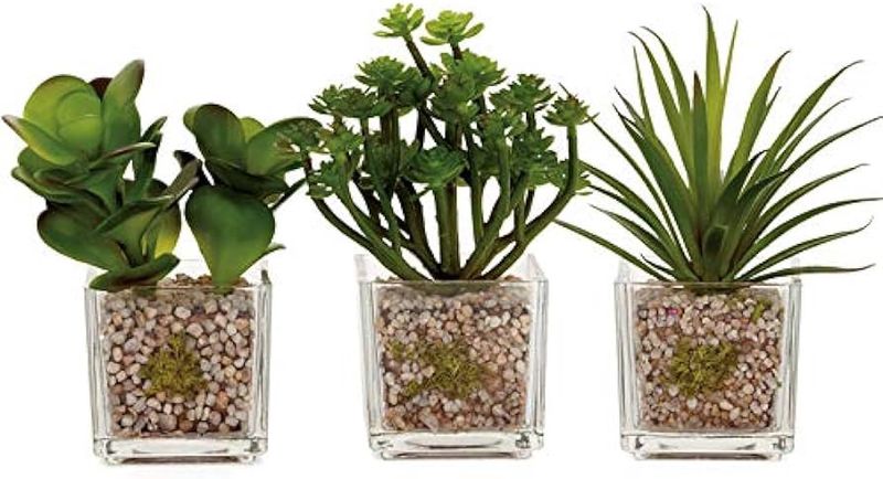 Glass Potted Faux Echeveria
