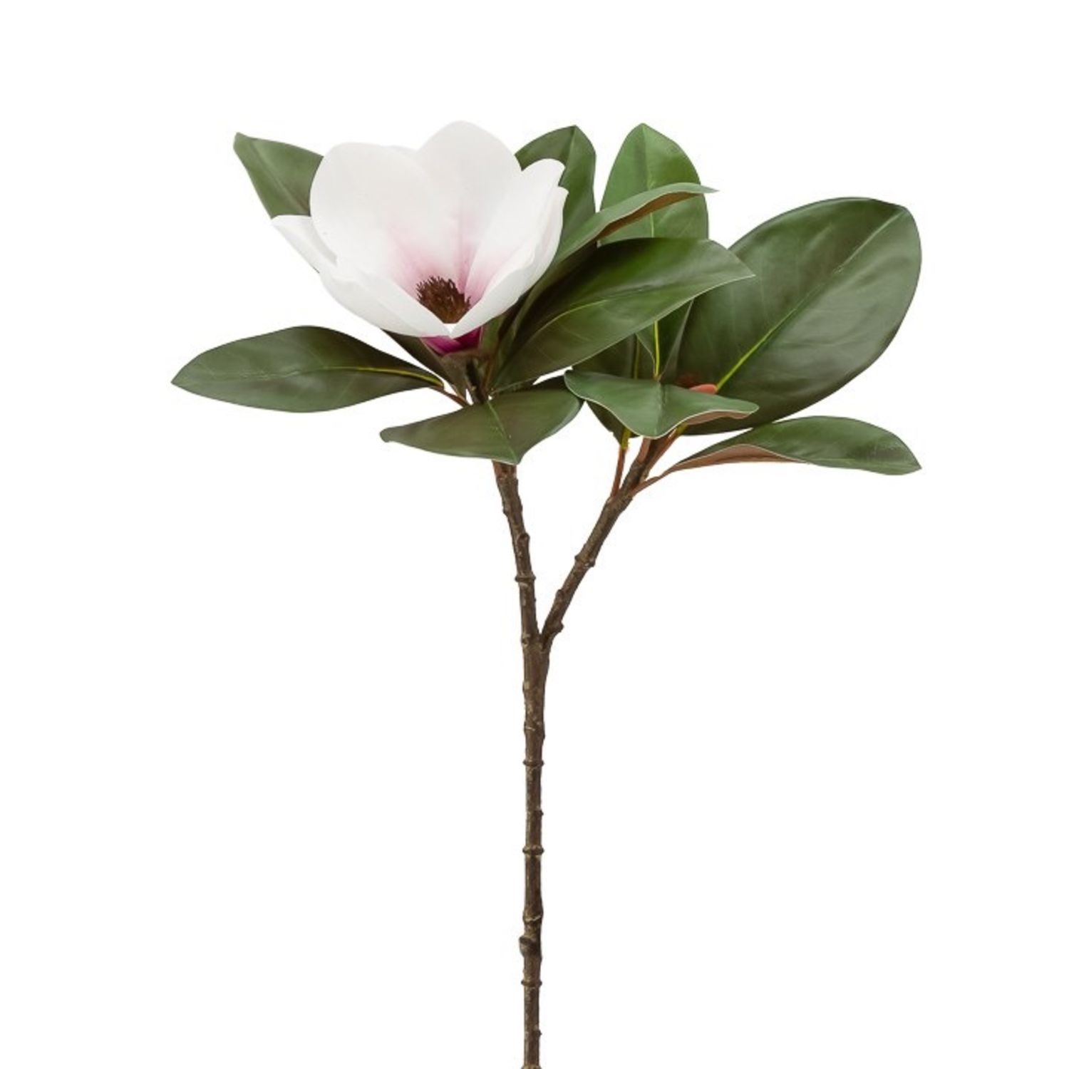 Magnolia Bloom Spray