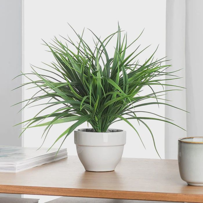 Potted Grass / Dark Green