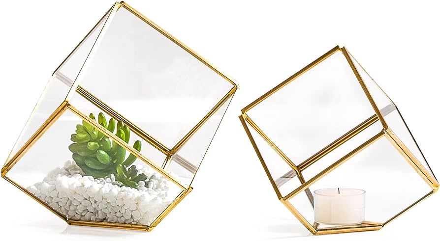 Pro Cube Glass Terrarium Set