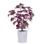 Faux Purple Basil Plant / Lg