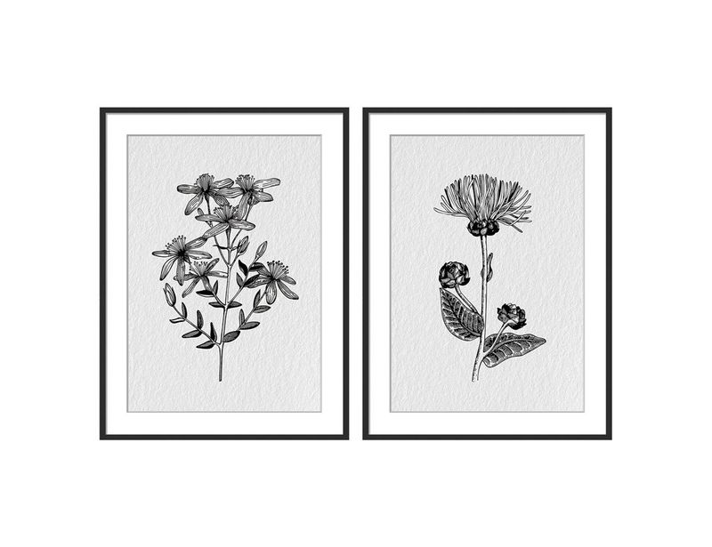 Wild Flower Frames - Set of 2