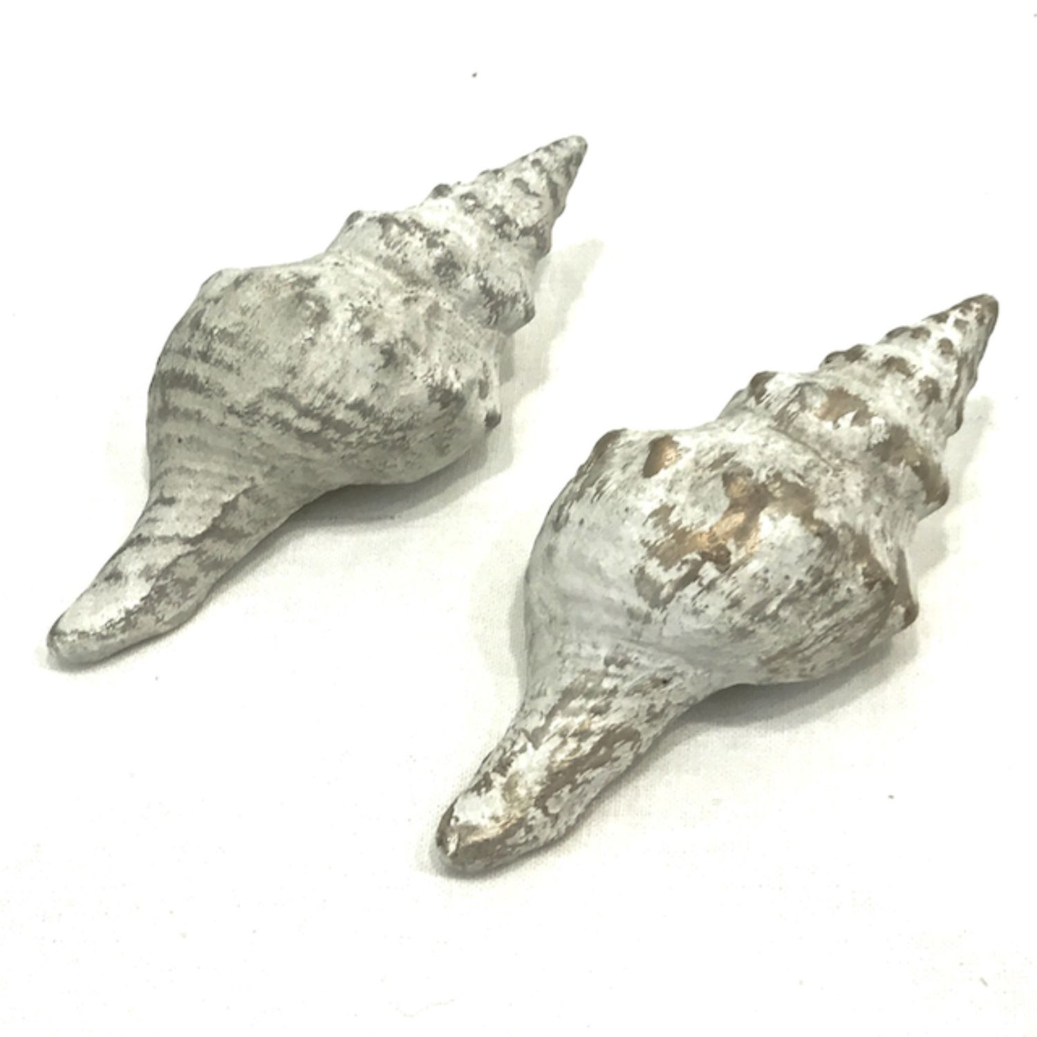 Papier Mache Seashell, Size: Small