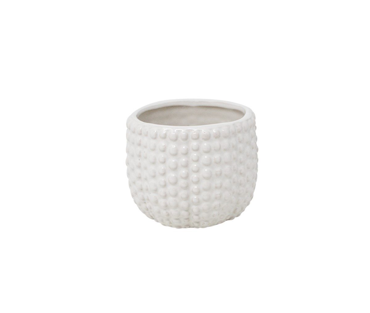 Bulle Pot - Sm