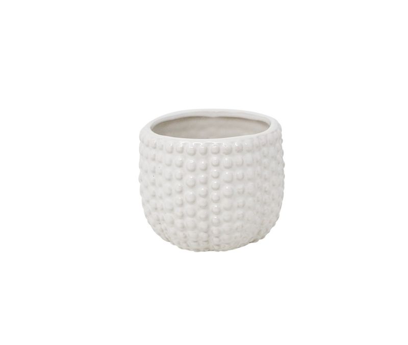 Bulle Pot - Sm