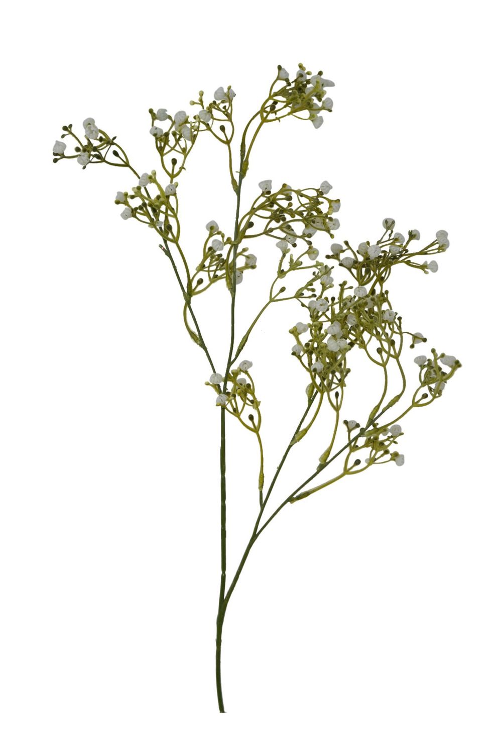 Babybreath Bunch