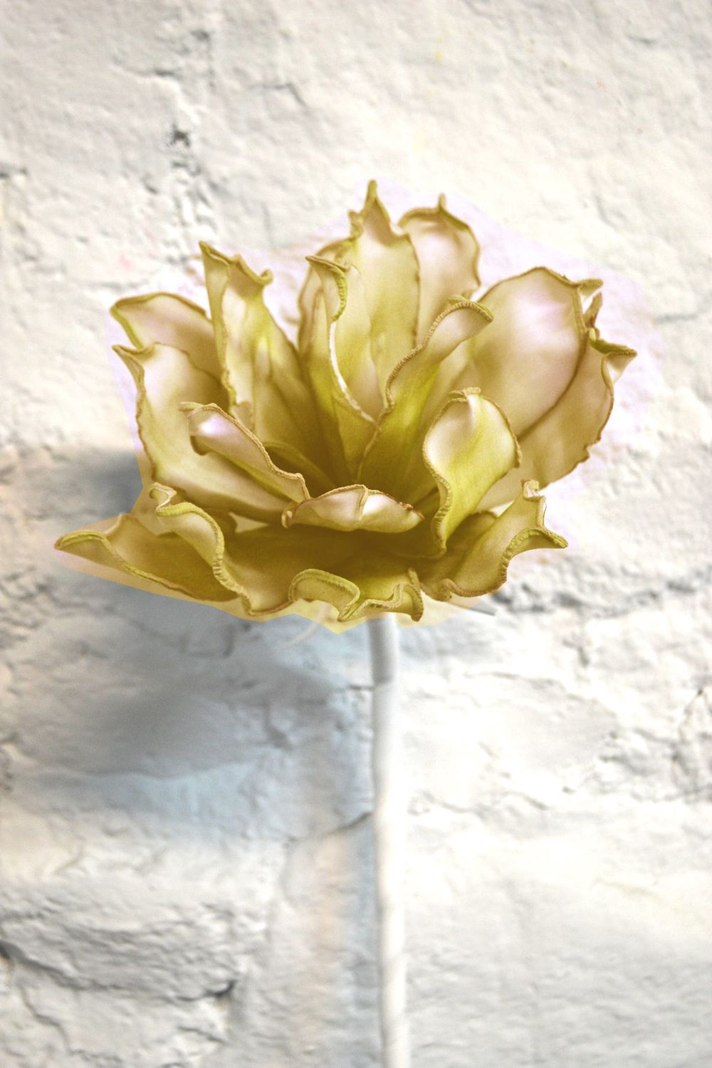 Yellow Tiare Stem