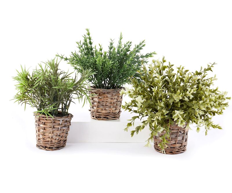 Assorted Grass in Willow Pot