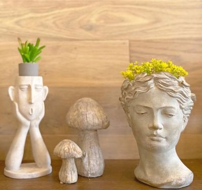 Decorative Accents