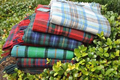 Blankets/Throws