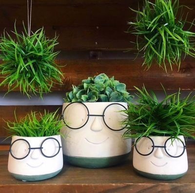 Plants &amp; Pots
