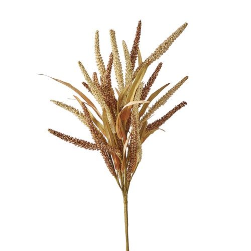 Wild Grass Bush