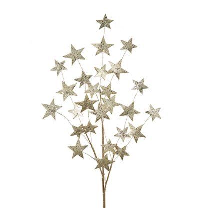 Gold Star Spray