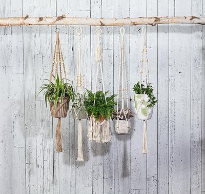 Hanging Planters