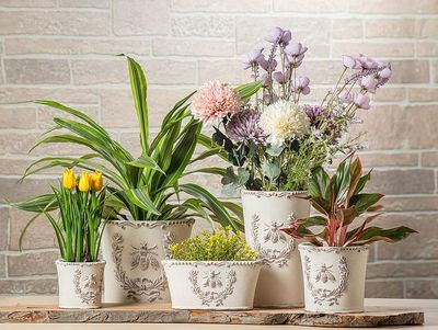 Decorative Pots &amp; Planters