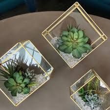 Terrariums &amp; Vases