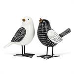 Large Black &amp; White Birds