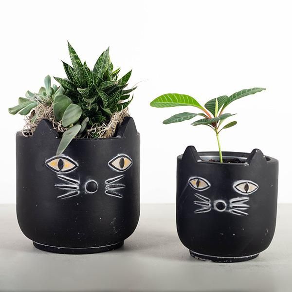 Black Flower Pot w/Cat Face /Lg