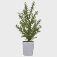 Faux Rosemary Plant / Lg