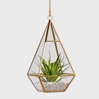 Oro Hanging Glass Terrarium w/Chain