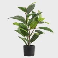 Faux Rubber Tree / 28”