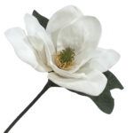 Magnolia Head Red w/Stem